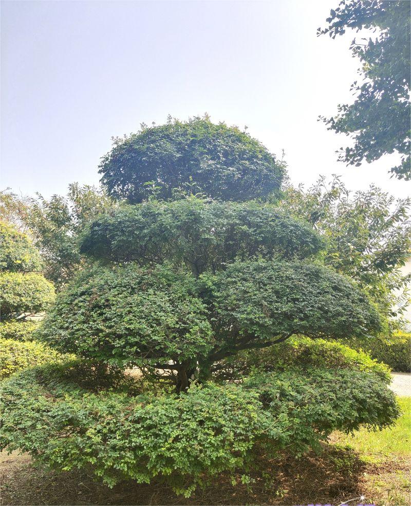 微信图片_20240405222824.jpg